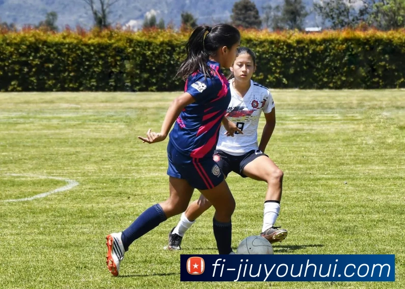 九游会官网平台生态图